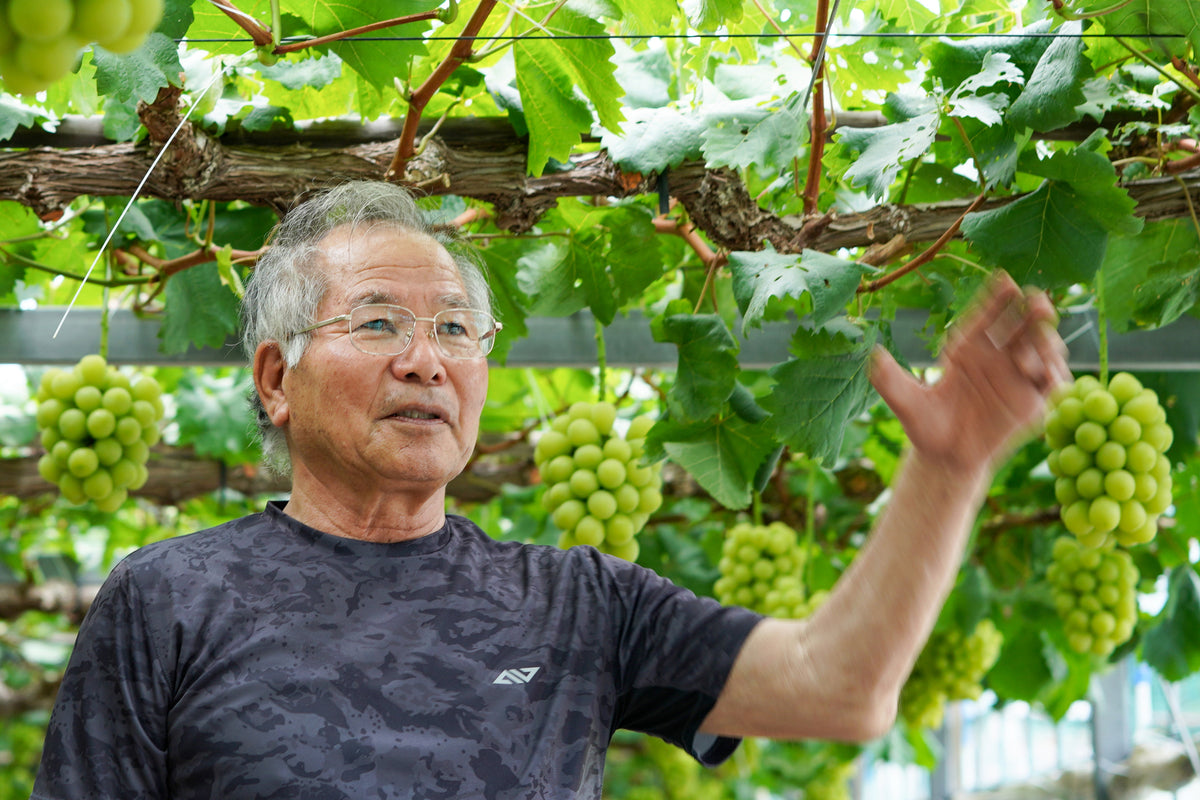 shoichi-takeda – マスカットジパング公式ショップ | Muscat ZIPANGU