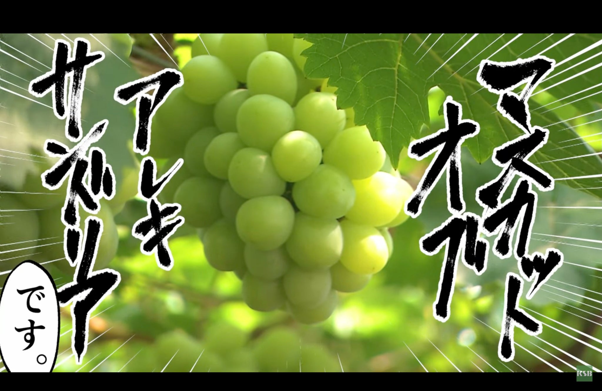東京ホテイソンや声優・金元寿子さんが「岡山特産のブドウ」を動画でPR！ - KSB瀬戸内海放送